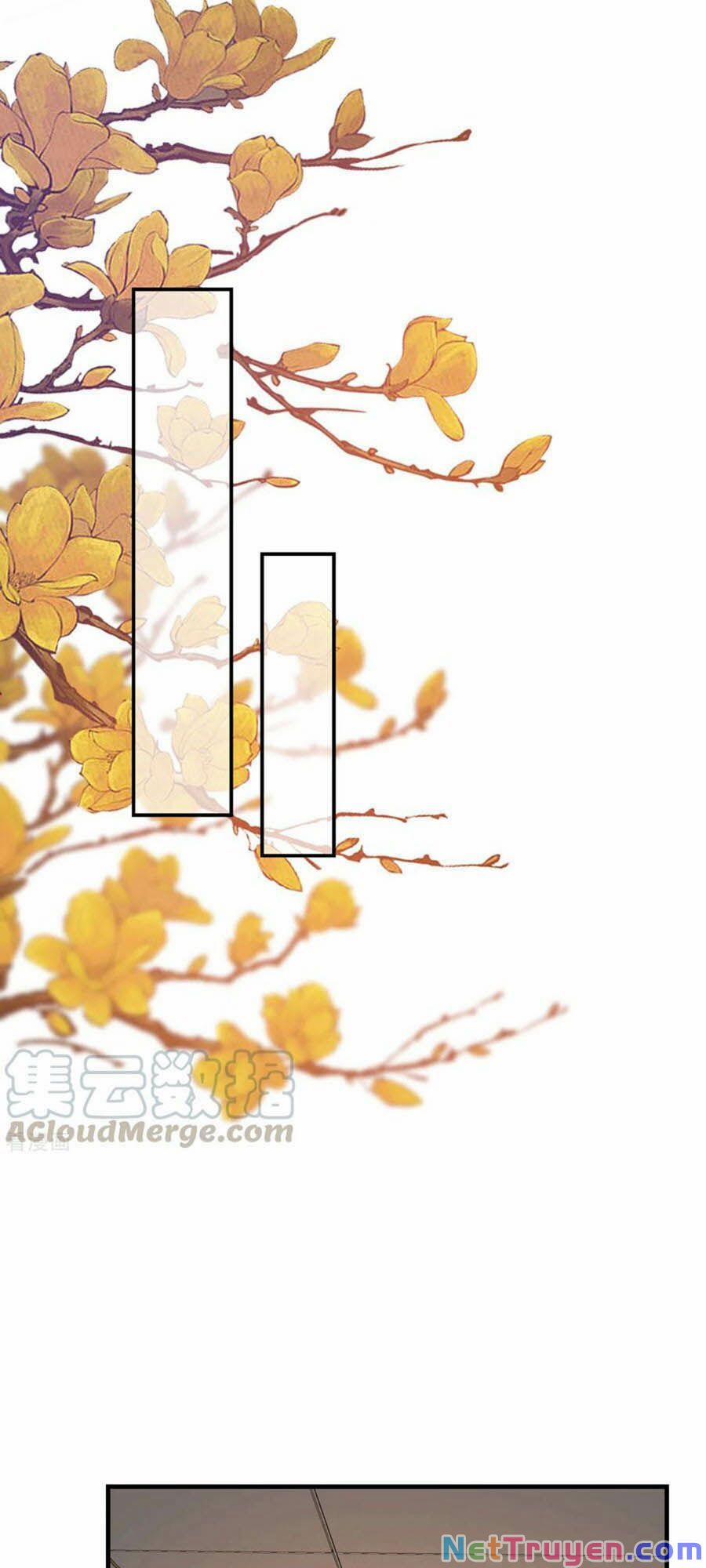 Tiến Độ Chia Tay 99% 91 trang 24