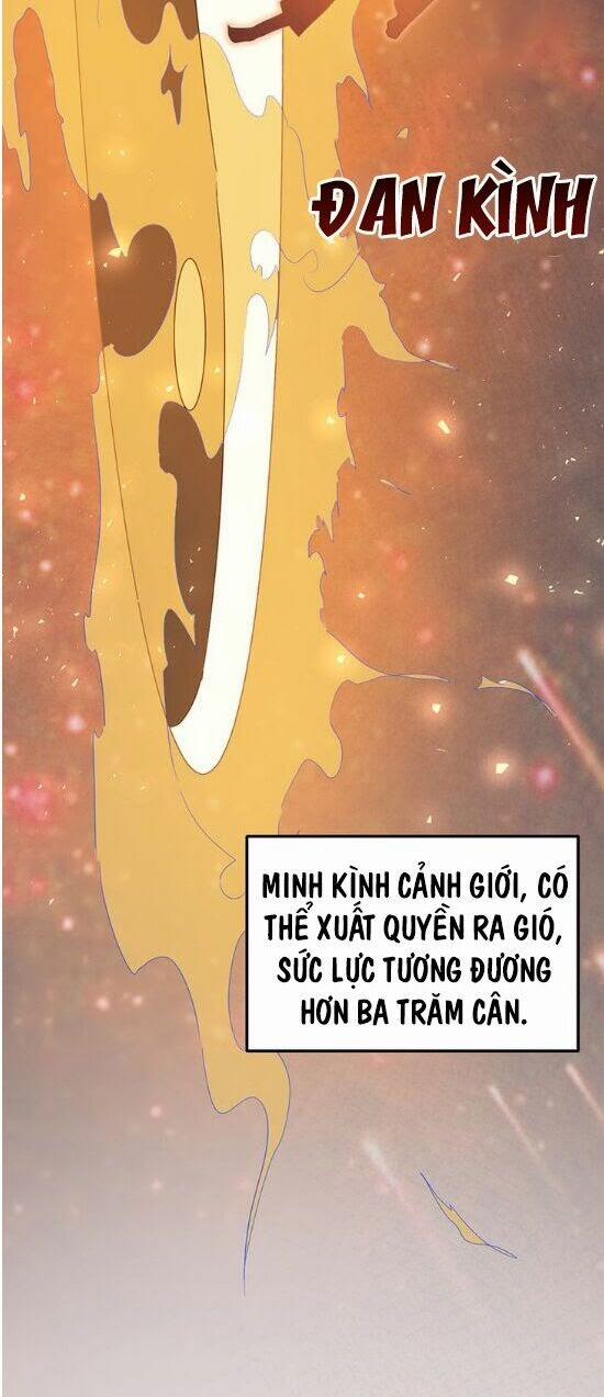 Tiên Vương Trùng Sinh 2 trang 13