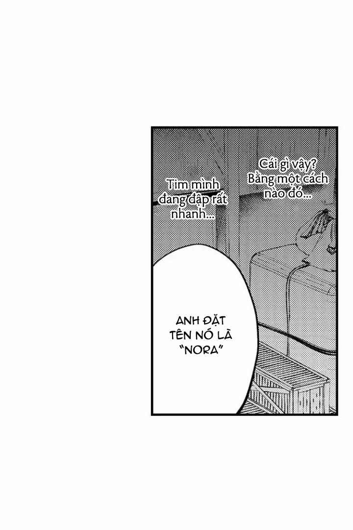 Tiếng Gọi Của Tình Yêu Sau Trải Nghiệm Cận Tử 31 trang 9