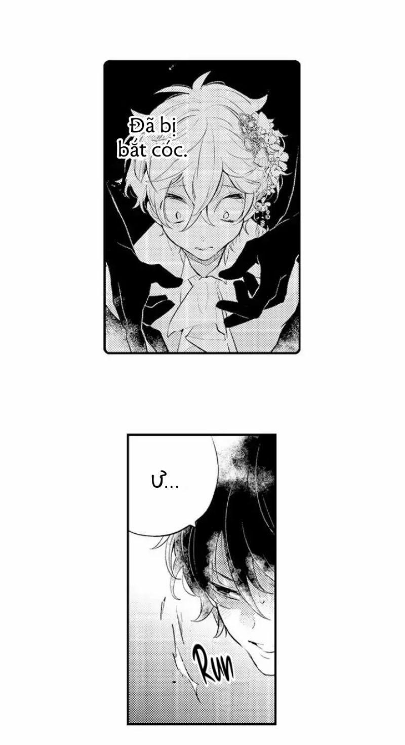 Tiếng Gọi Của Tình Yêu Sau Trải Nghiệm Cận Tử 37 trang 3