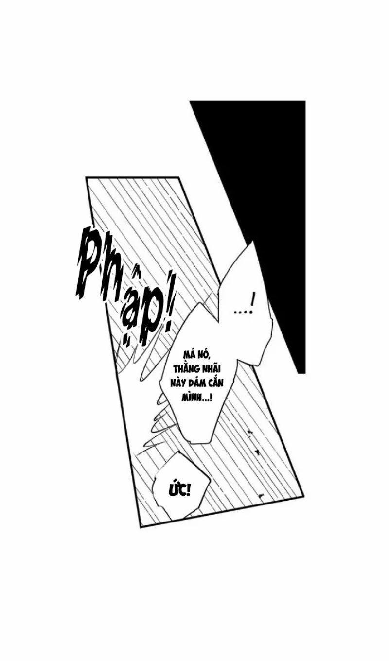 Tiếng Gọi Của Tình Yêu Sau Trải Nghiệm Cận Tử 38 trang 1