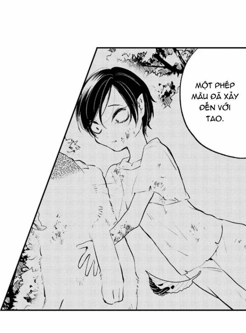 Tiếng Gọi Của Tình Yêu Sau Trải Nghiệm Cận Tử 38 trang 6