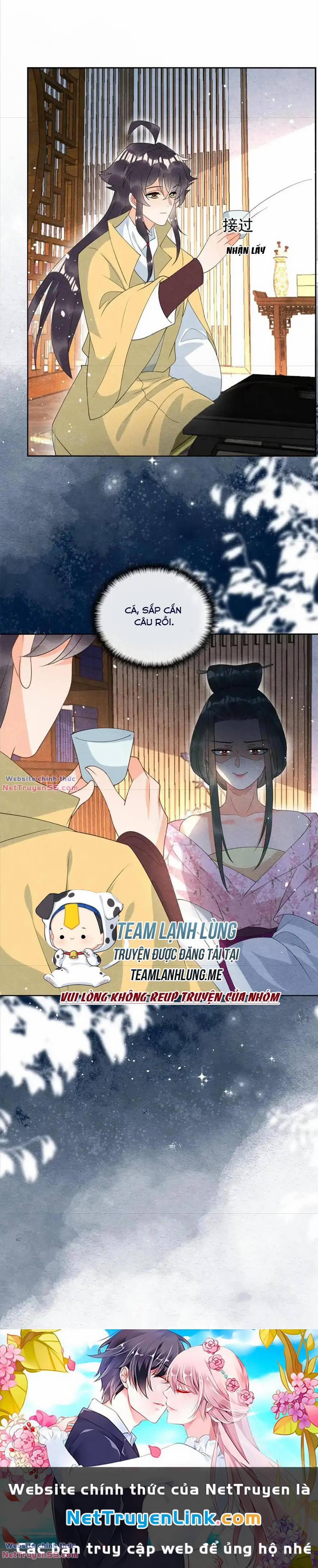 Tiêu Rồi, Lại Bị Bệnh Kiều Để Mắt Đến! 70 trang 11