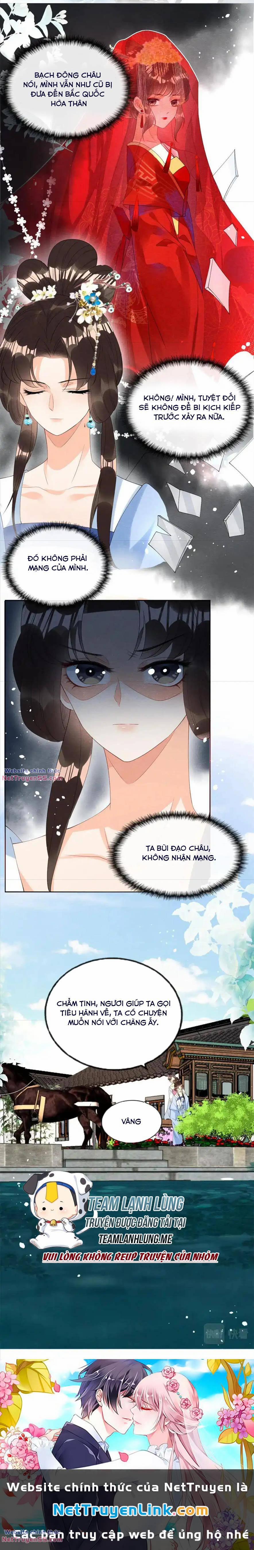 Tiêu Rồi, Lại Bị Bệnh Kiều Để Mắt Đến! 73 trang 7