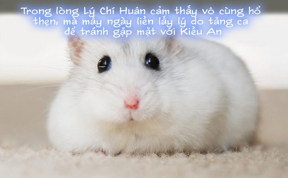 Tiểu Sử Của Trần Kiều An 6 trang 36