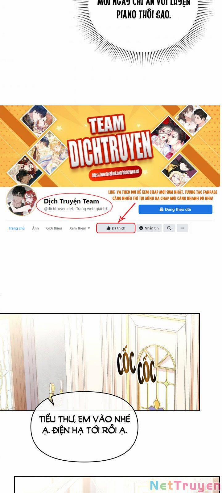 Tiểu Thư Scarlet, Em Không Muốn Trả Thù Sao? 44 trang 33