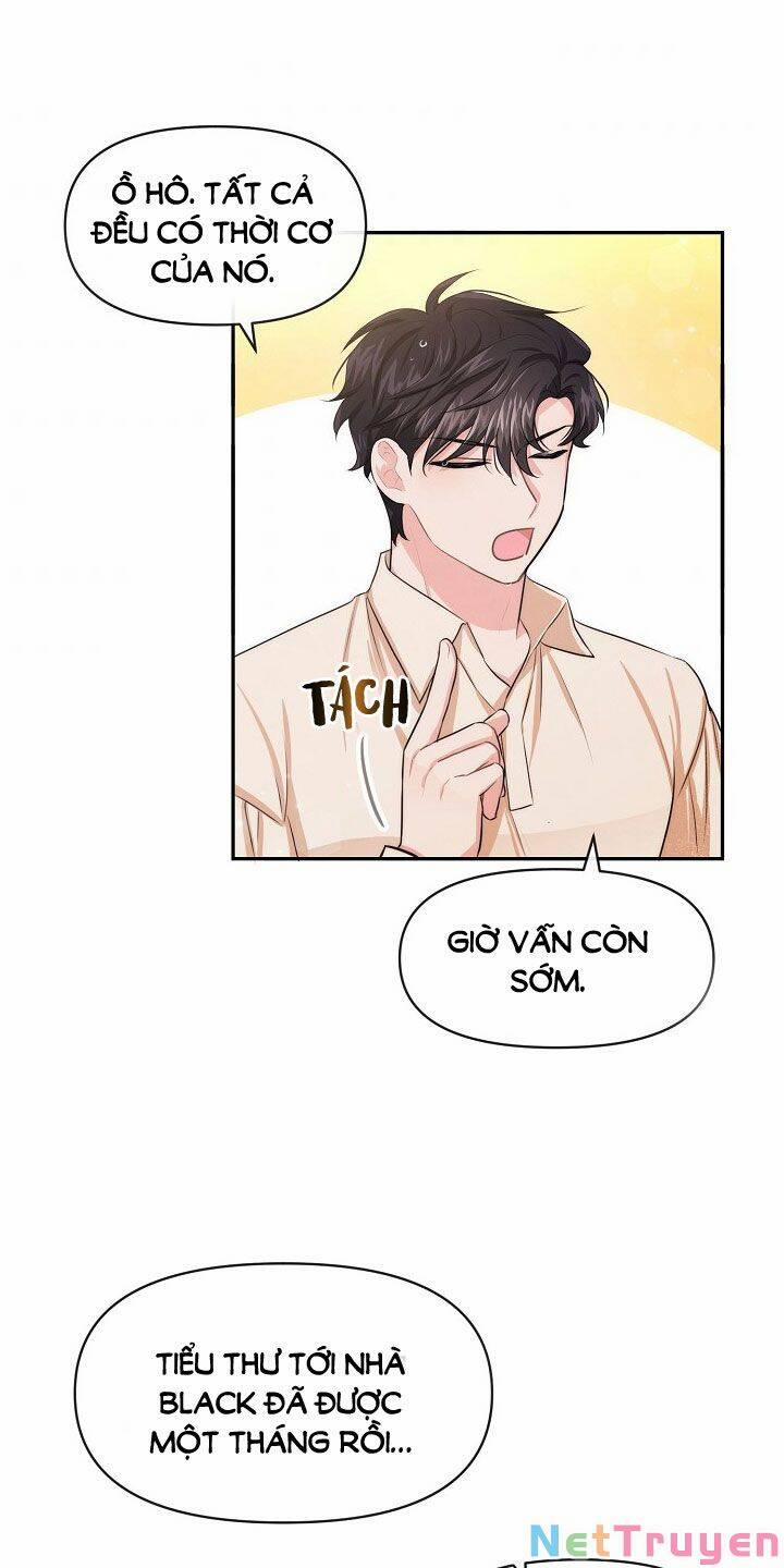 Tiểu Thư Scarlet, Em Không Muốn Trả Thù Sao? 50 trang 4