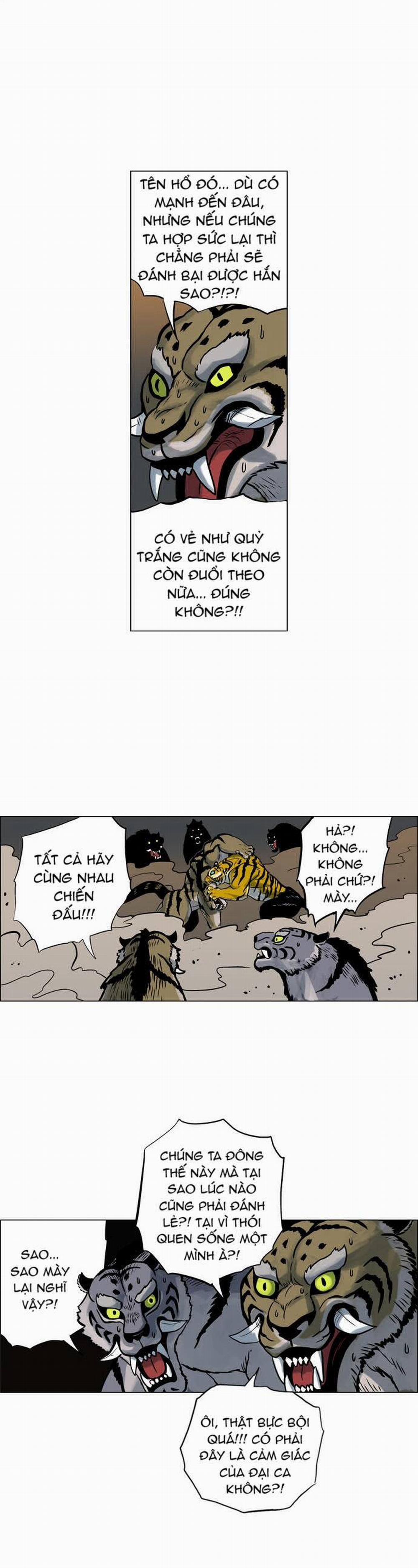 Tiger Brother 12 trang 24