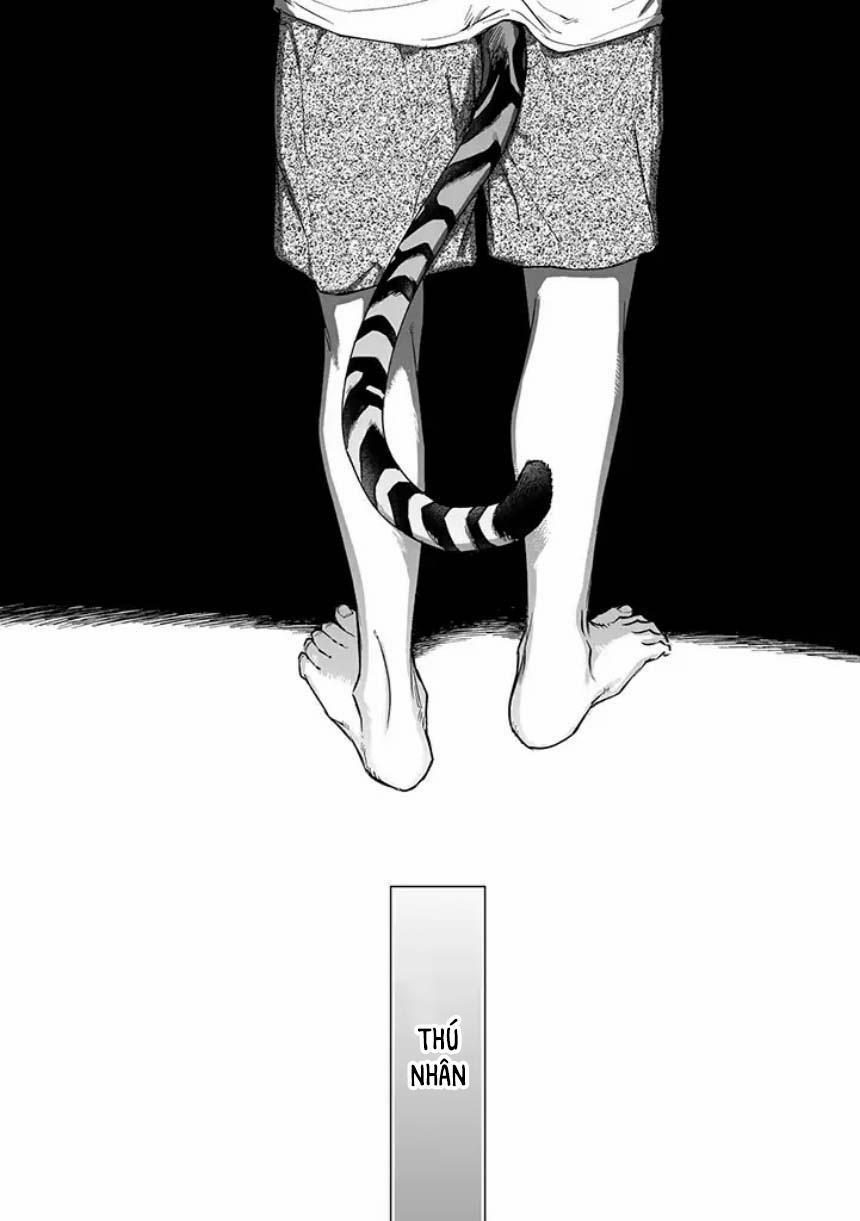 Tiger Bunny (END) 1.1 trang 1