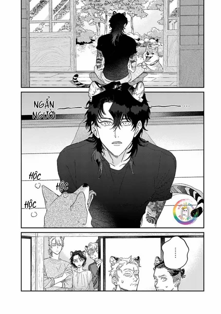 Tiger Bunny (END) 4.1 trang 1