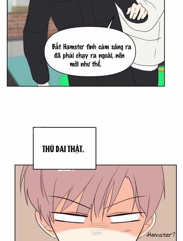 Tìm kiếm giá trị tình yêu 11 trang 17