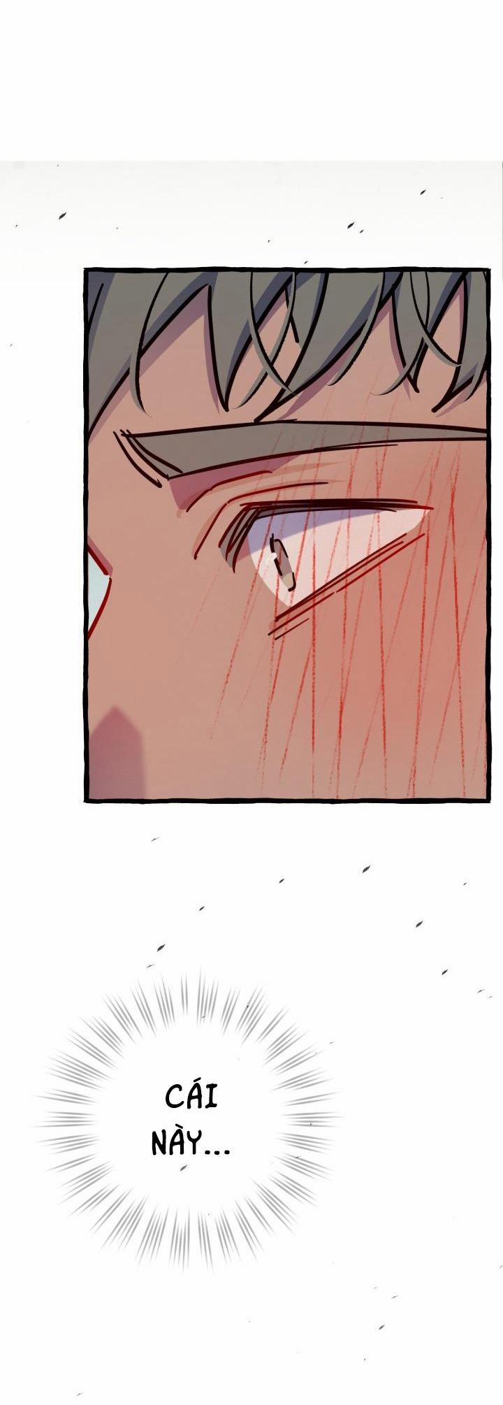 Tìm Phòng Trọ 7 trang 12