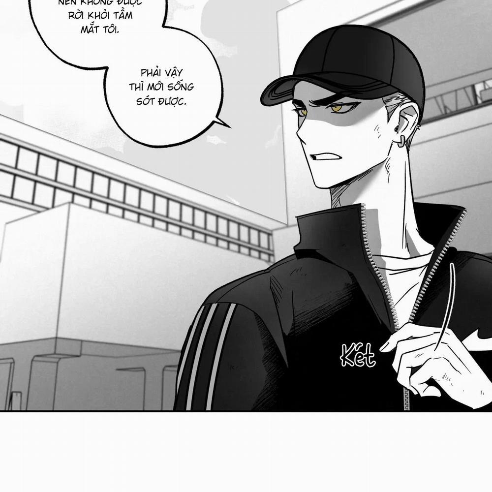 Tin Vào Tín Hiệu Của Tôi 11 trang 39