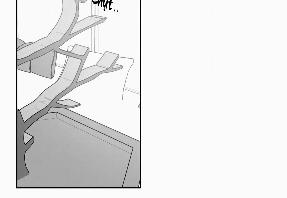 Tin Vào Tín Hiệu Của Tôi 15 trang 3