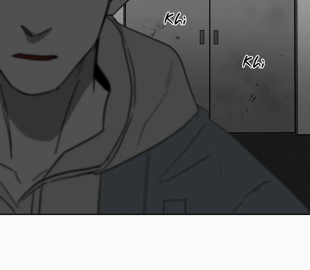 Tin Vào Tín Hiệu Của Tôi 29 trang 28