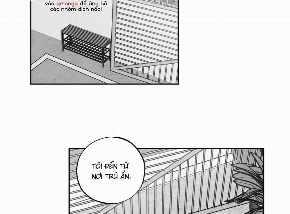 Tin Vào Tín Hiệu Của Tôi 31 trang 3