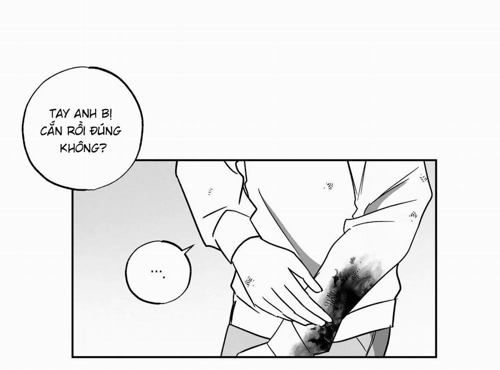 Tin Vào Tín Hiệu Của Tôi 31 trang 5