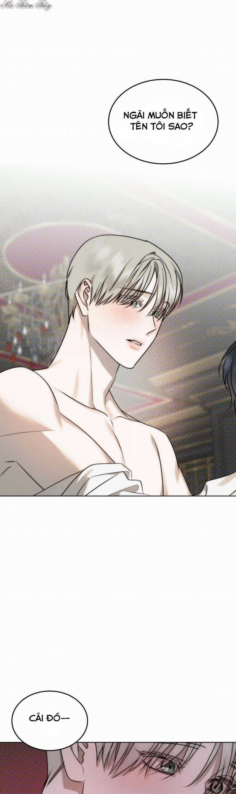 Tinh Chất Quý 0 End trang 0