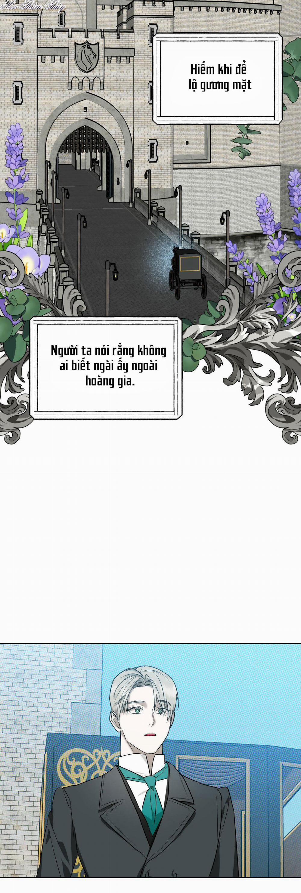 Tinh Chất Quý 0 End trang 19