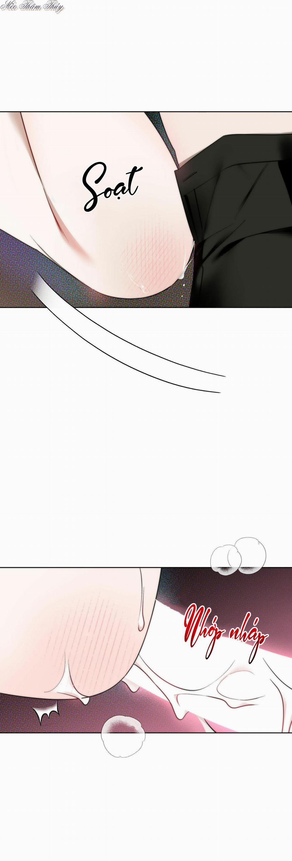 Tinh Chất Quý 0 End trang 3