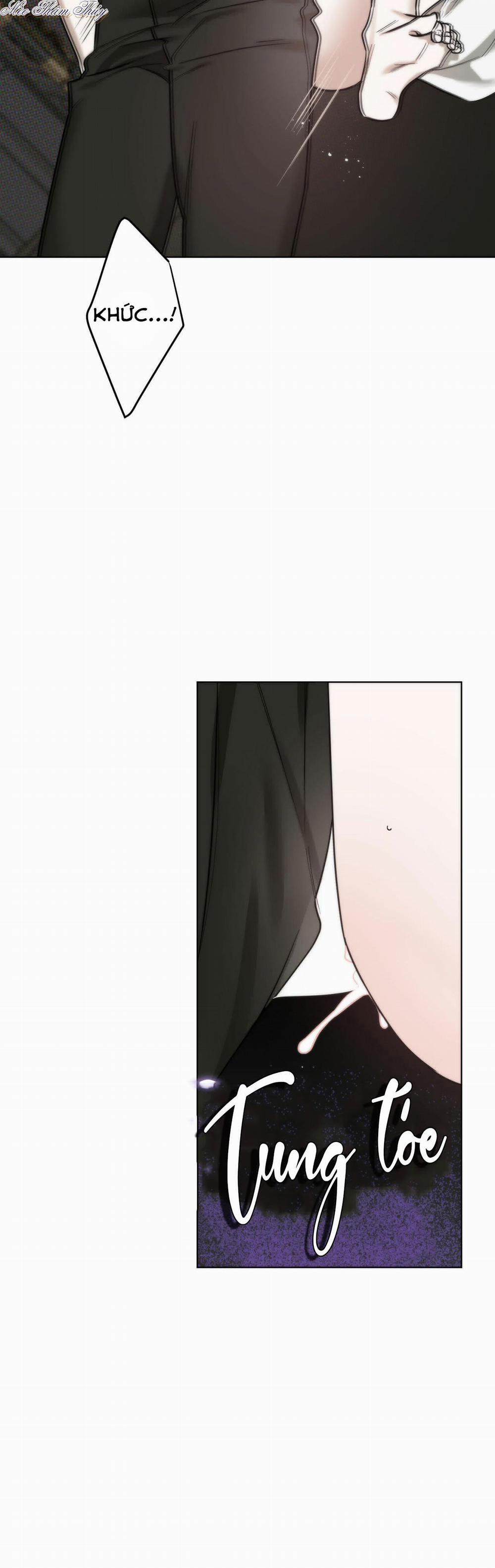 Tinh Chất Quý 0 End trang 7