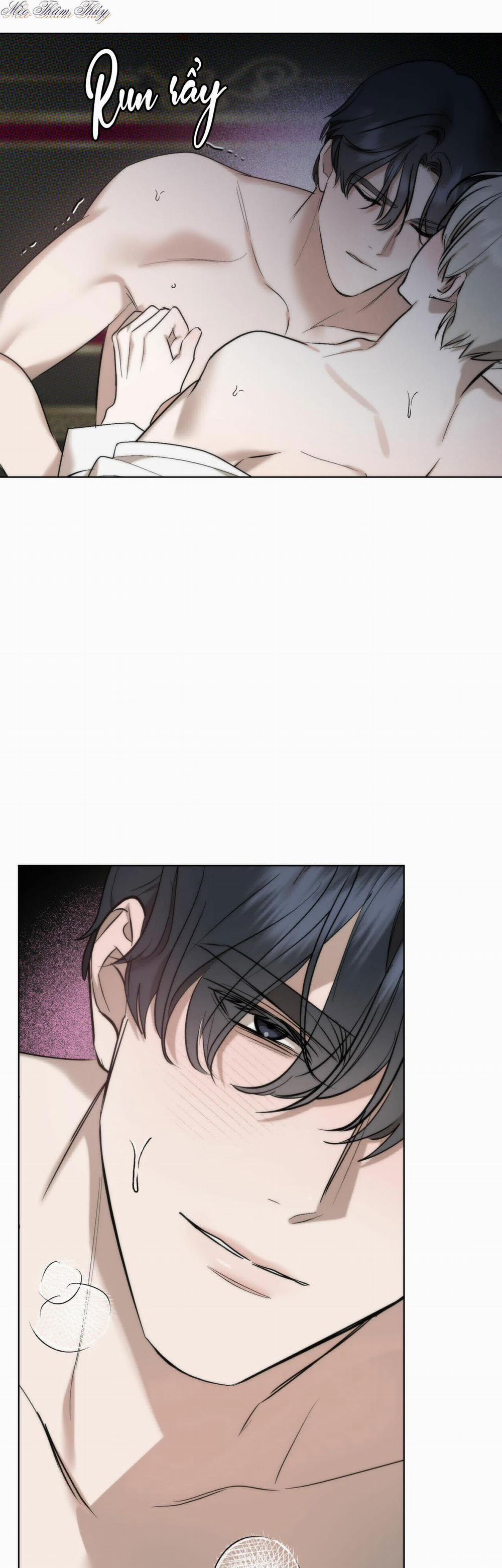 Tinh Chất Quý 0 End trang 8