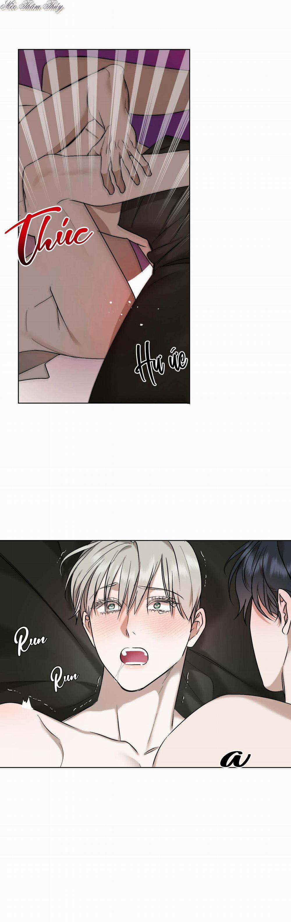 Tinh Chất Quý 3 trang 12