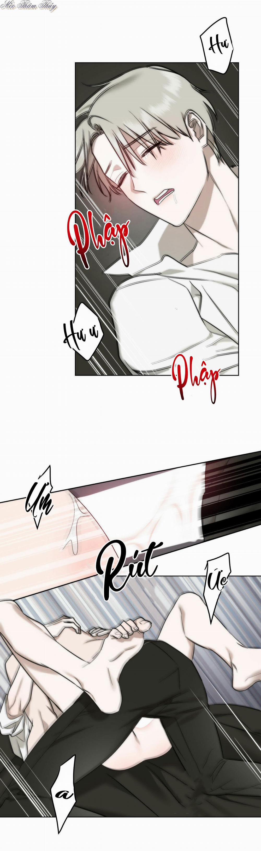 Tinh Chất Quý 3 trang 18