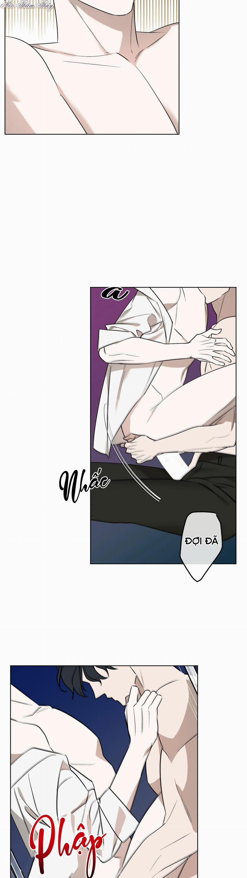 Tinh Chất Quý 3 trang 23