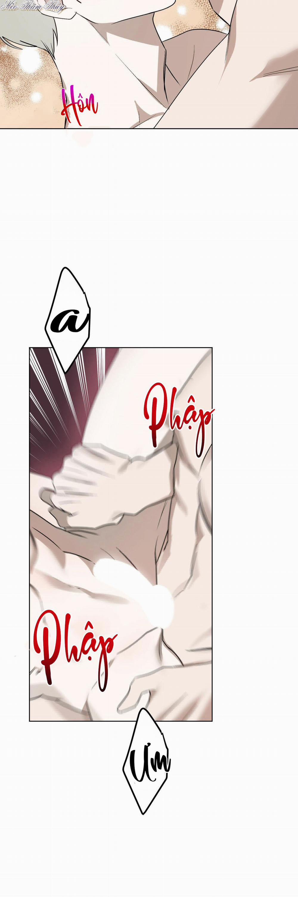 Tinh Chất Quý 3 trang 28