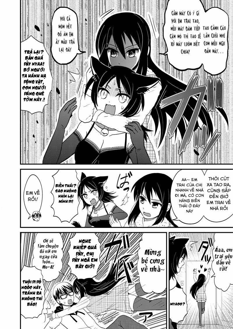 Tình Chị Em 117 trang 8