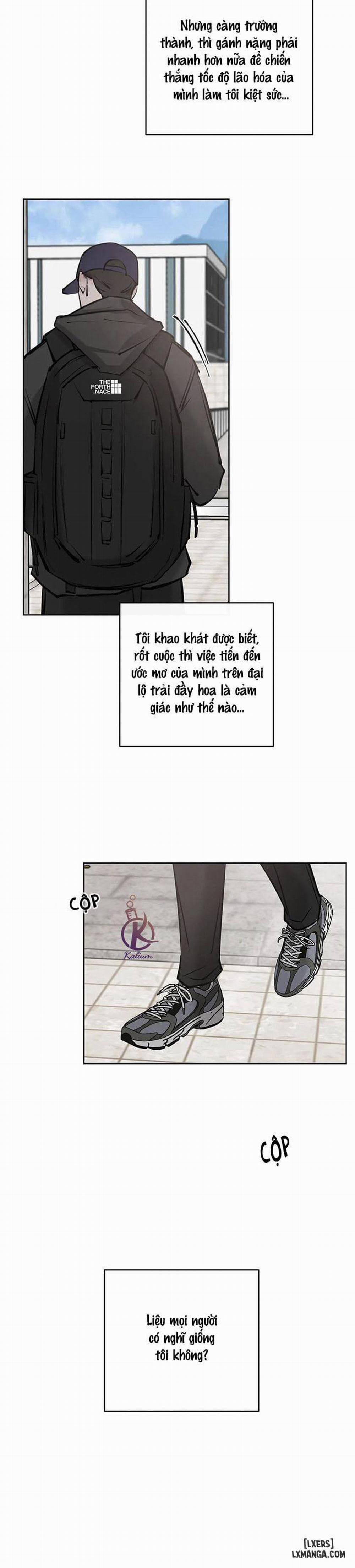 Tình Cờ Hay Định Mệnh 4 trang 5