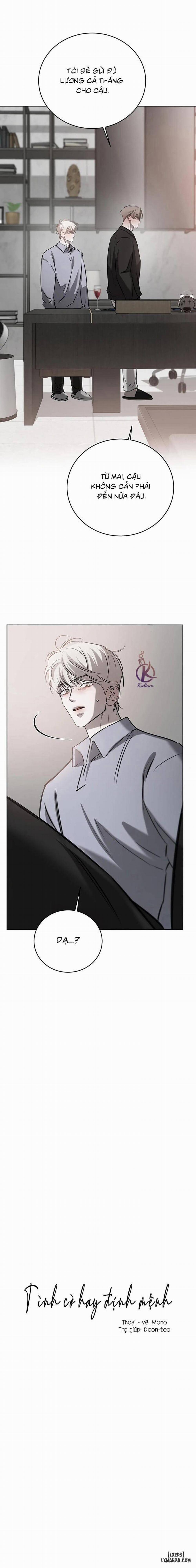 Tình Cờ Hay Định Mệnh 54 trang 11