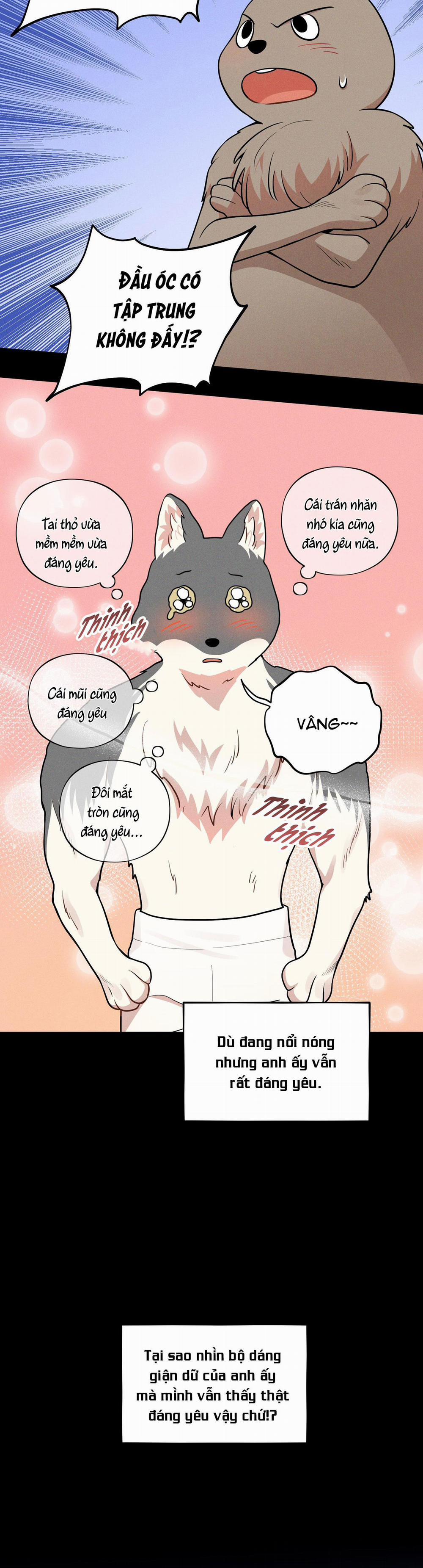 TÌNH CỜ 2 trang 14