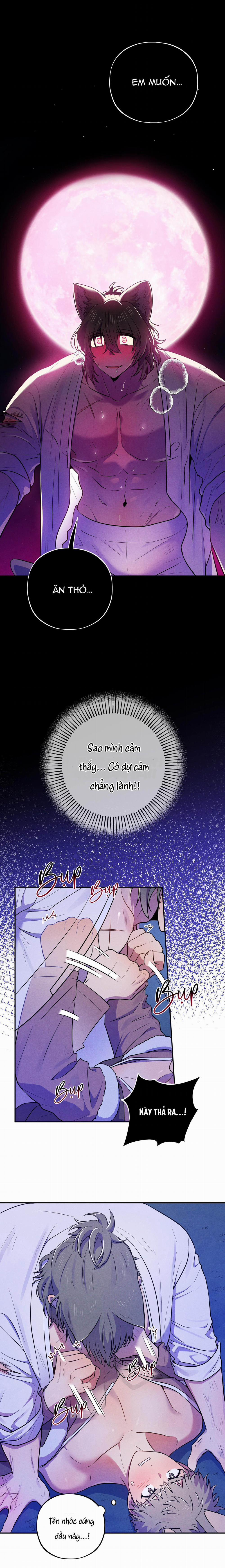 TÌNH CỜ 4 trang 0