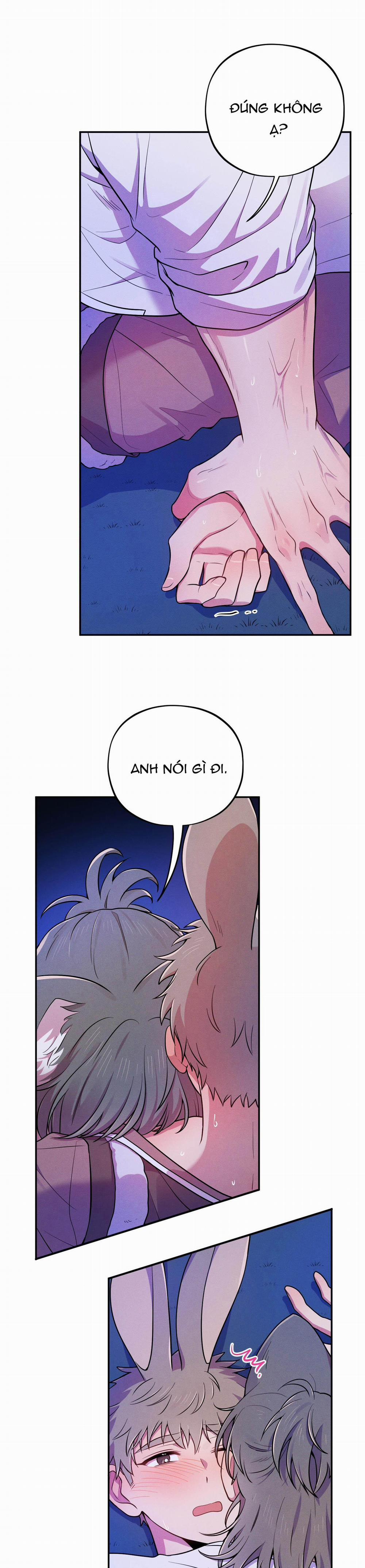 TÌNH CỜ 4 trang 16