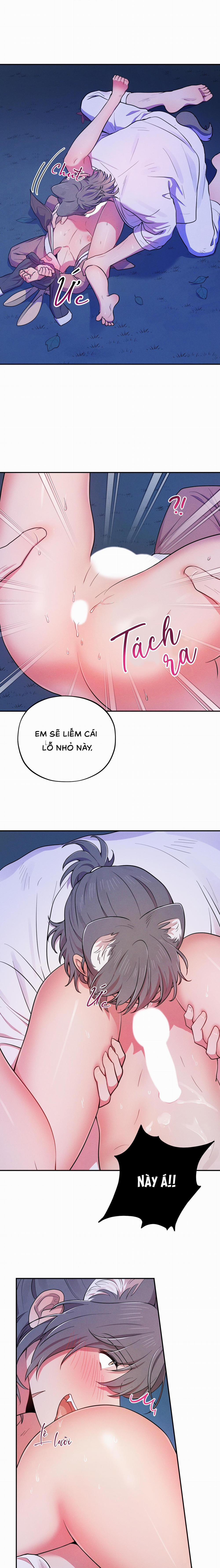 TÌNH CỜ 4 trang 9