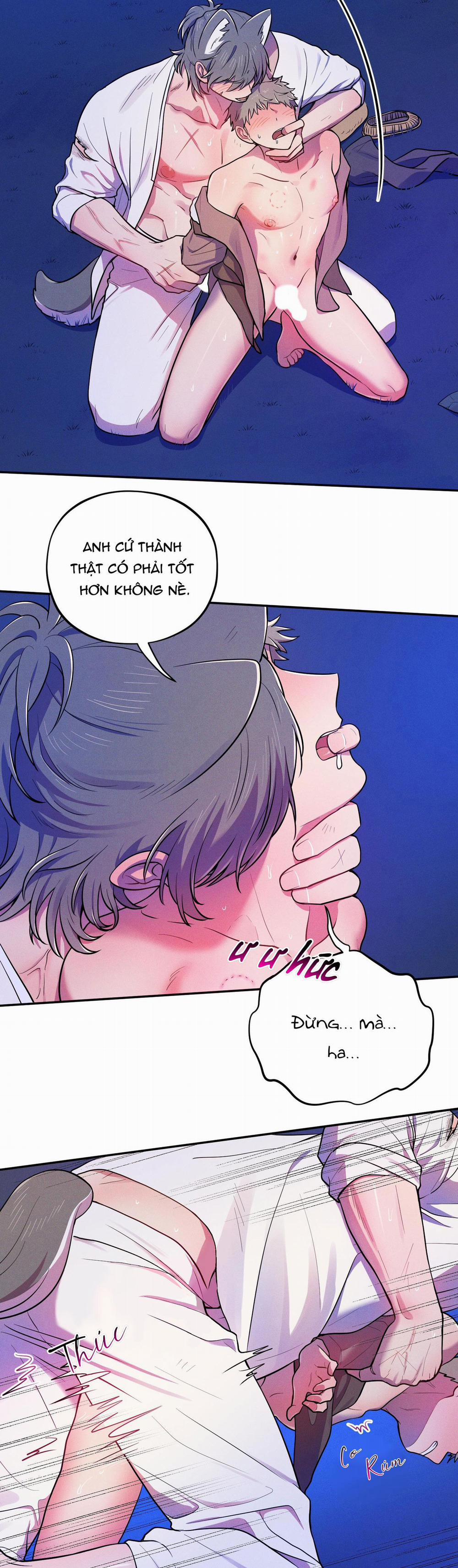 TÌNH CỜ 5 trang 3