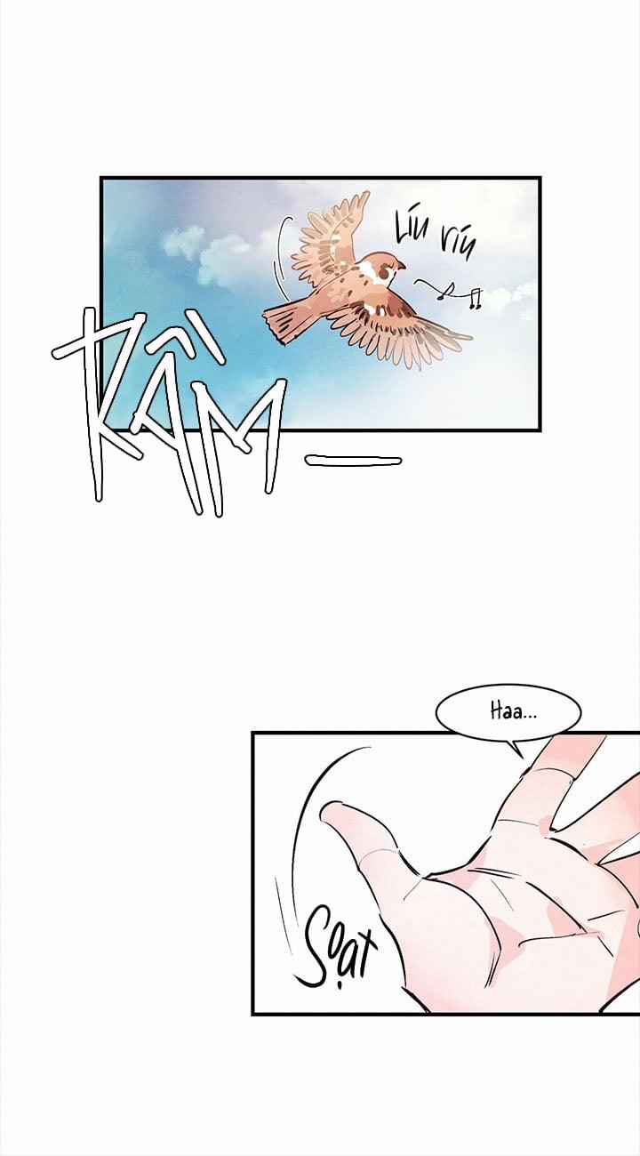 Tình Cuồng Say 14 trang 4