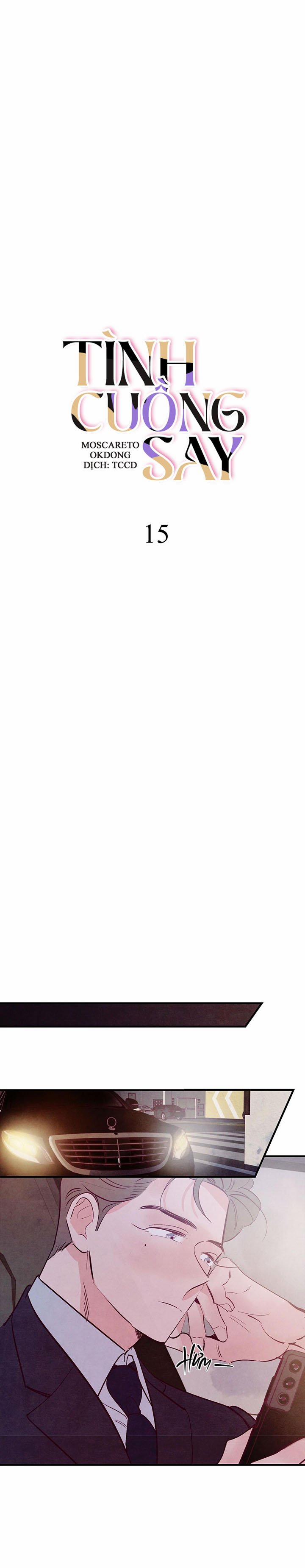 Tình Cuồng Say 15 trang 3