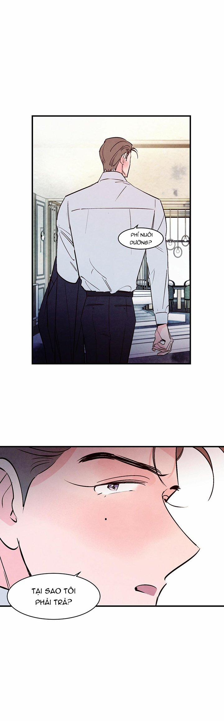 Tình Cuồng Say 23 trang 19