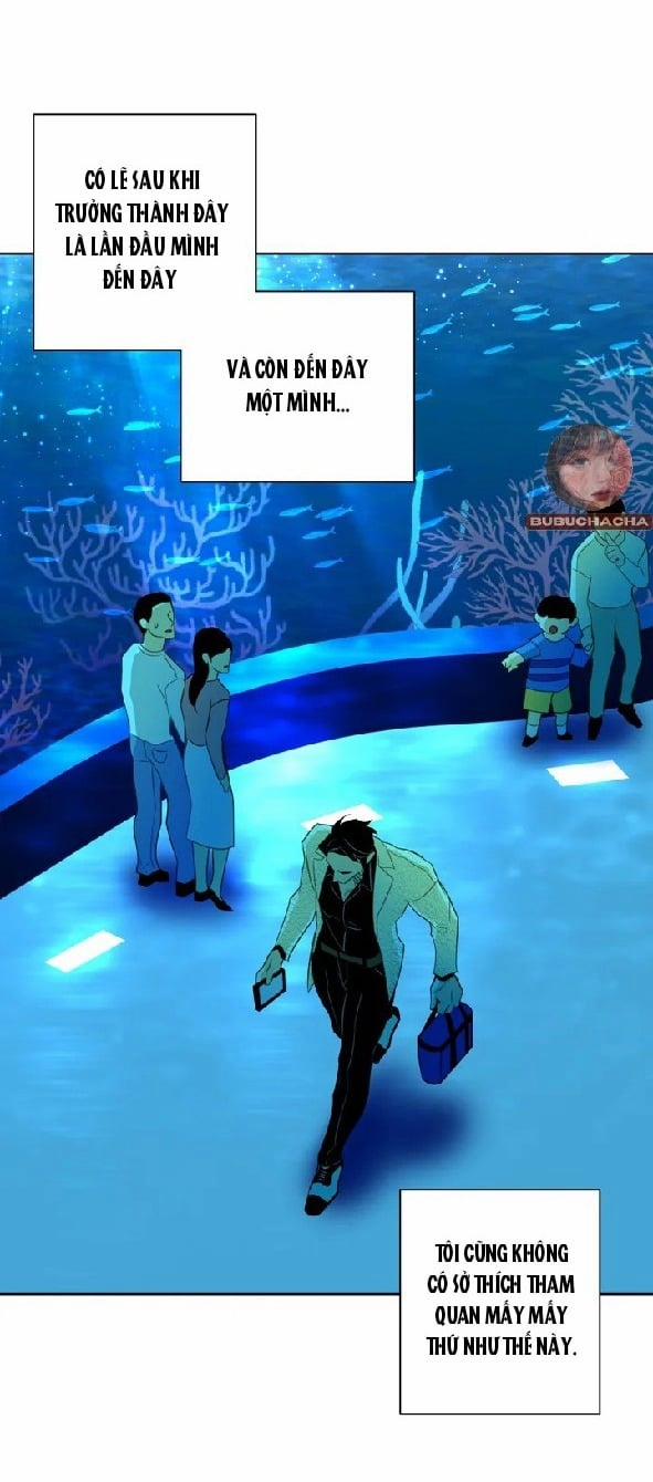 Tình Đầu Của Anh Chủ Quán Sashimi Là Người Cá 1 trang 105