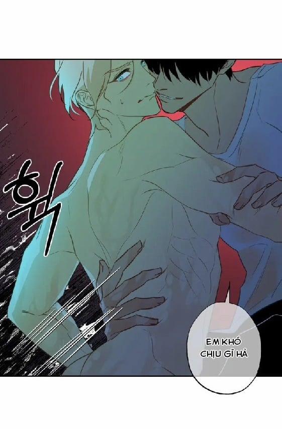 Tình Đầu Của Anh Chủ Quán Sashimi Là Người Cá 1 trang 11