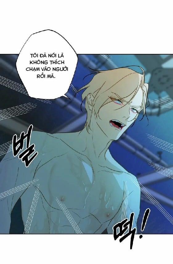 Tình Đầu Của Anh Chủ Quán Sashimi Là Người Cá 1 trang 16