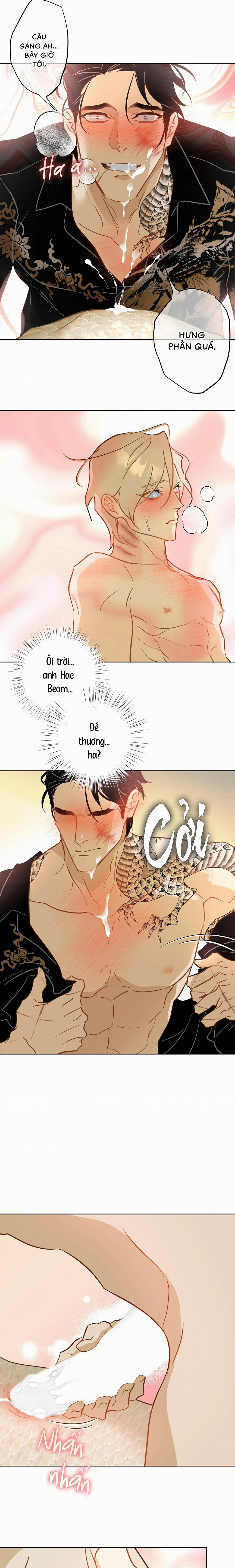 Tình Đầu Của Anh Chủ Quán Sashimi Là Người Cá 10 trang 11