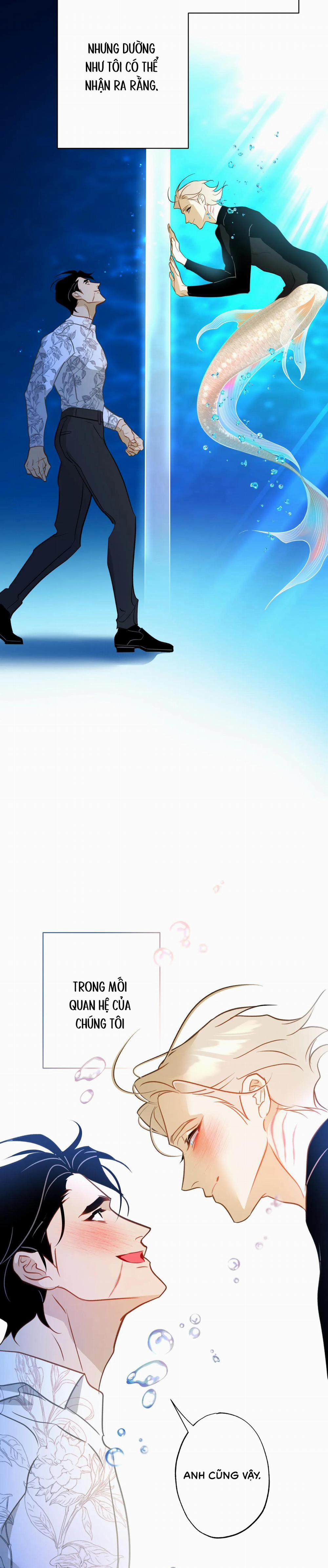 Tình Đầu Của Anh Chủ Quán Sashimi Là Người Cá 11 trang 28