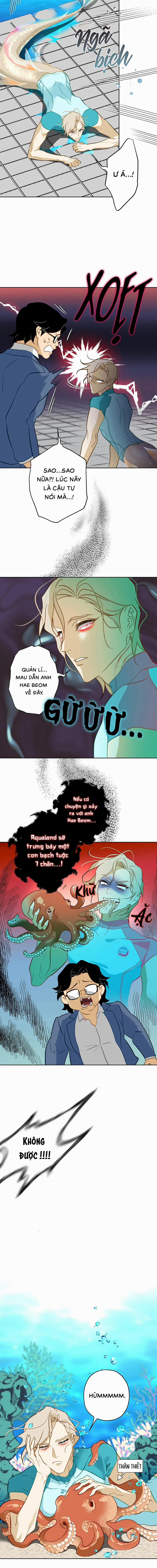 Tình Đầu Của Anh Chủ Quán Sashimi Là Người Cá 12 trang 3