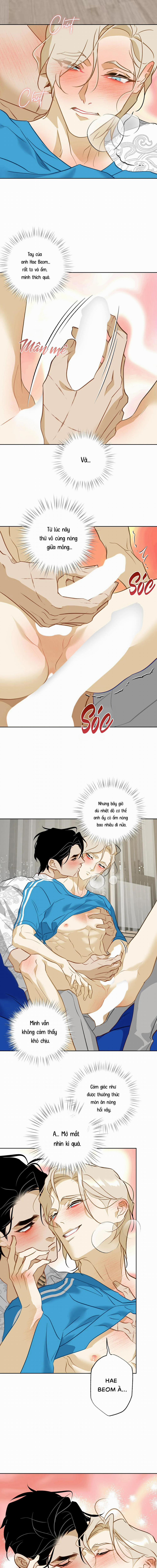 Tình Đầu Của Anh Chủ Quán Sashimi Là Người Cá 12 trang 9