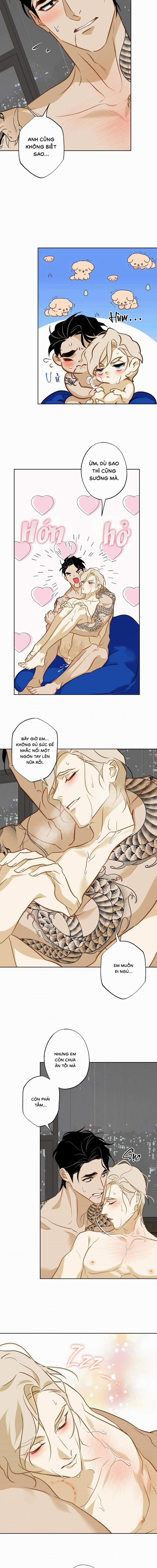 Tình Đầu Của Anh Chủ Quán Sashimi Là Người Cá 13 trang 7