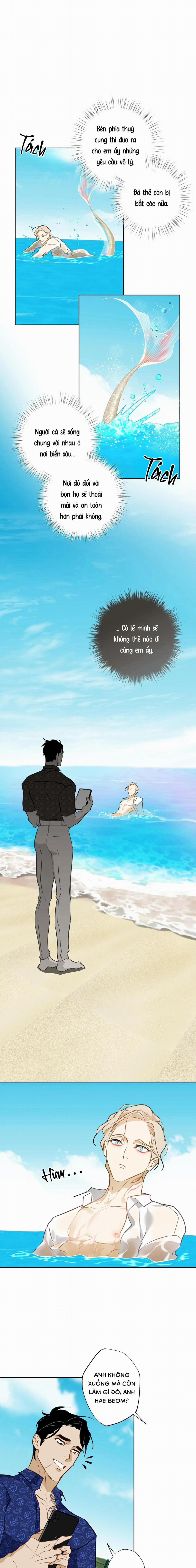 Tình Đầu Của Anh Chủ Quán Sashimi Là Người Cá 14 trang 1